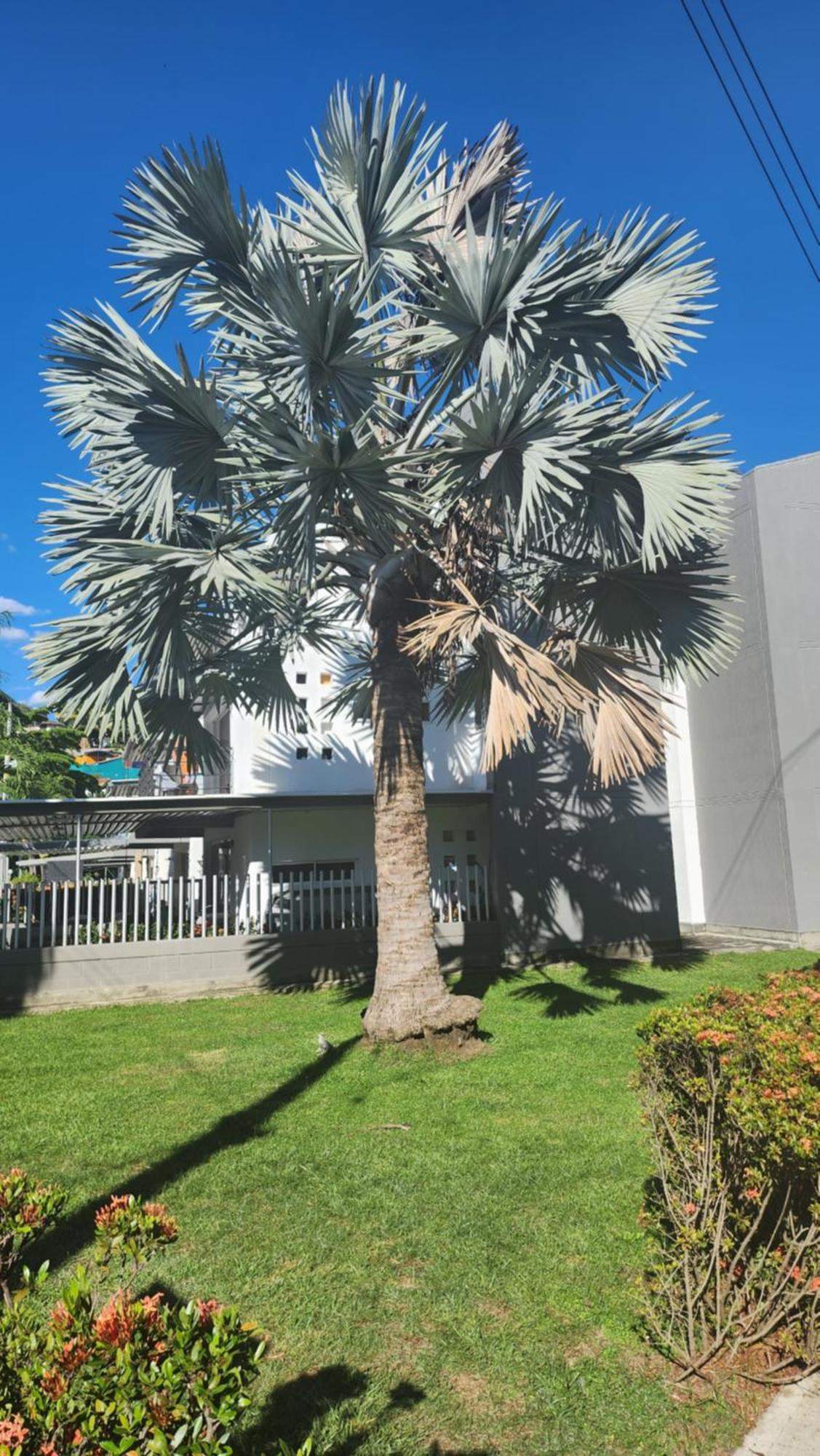 Apartasol Club Ciudadela Santa Fe - Санта-Фе-де-Антьокия Экстерьер фото
